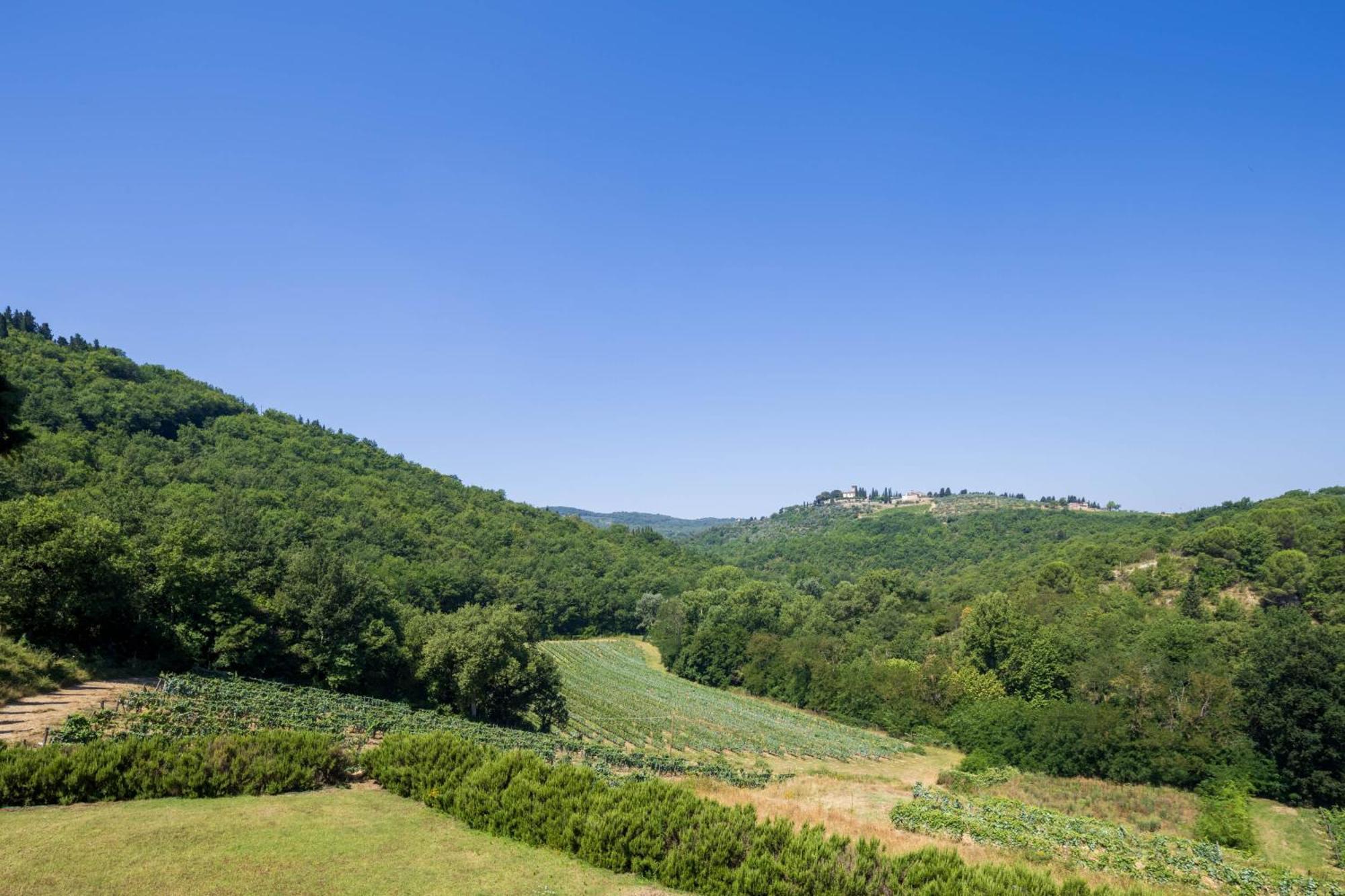 Foresteria Castello Di Verrazzano Греве-ин-Кьянти Экстерьер фото